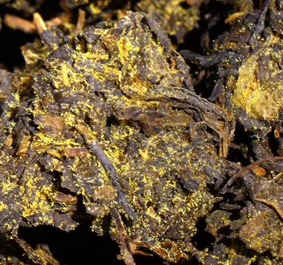 1763023092181362.jpg 1763023092181362.jpg