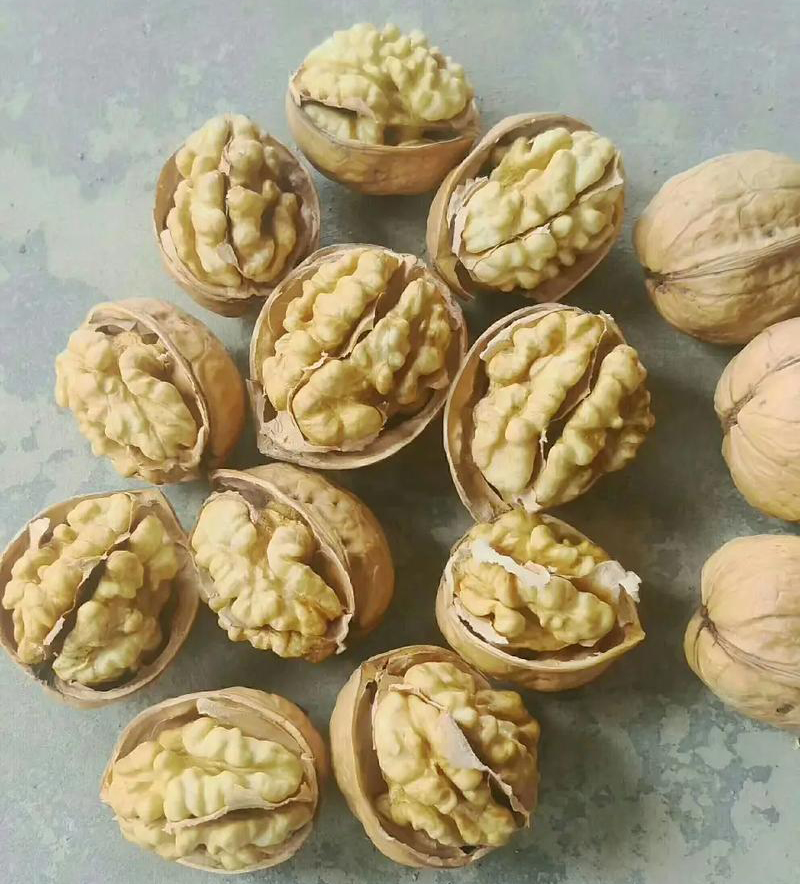 陕西核桃 陕西核桃